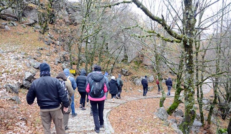 Αγριόγιδο και καφέ αρκούδα σε Δίκτυο Φορέων Προστατευόμενων Περιοχών
