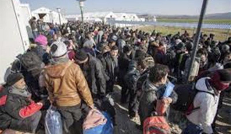 Αριθμός Ασφάλισης και Υγειονομικής  Περίθαλψης στους αιτούντες άσυλο