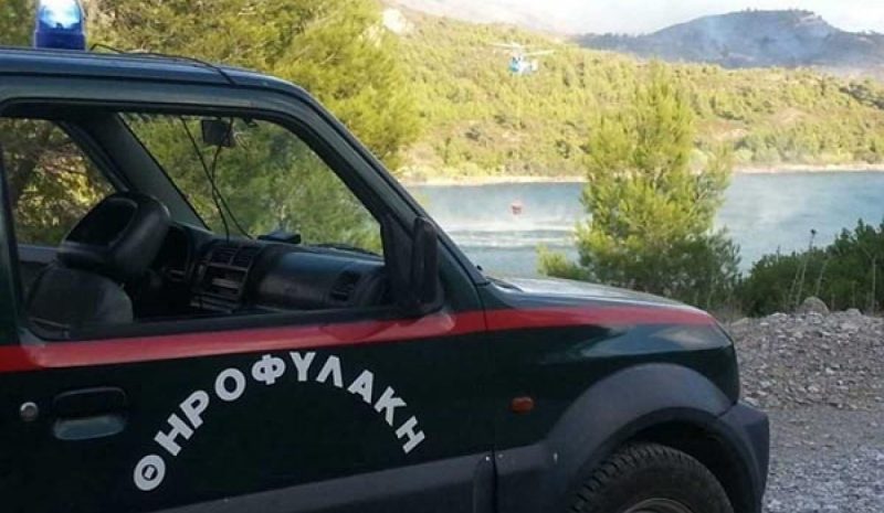 Έναν λαθροθήρα… τσάκωσε  η Θηροφυλακή της Ε’ ΚΟΗ