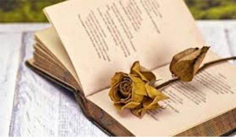 Πανελλήνιος διαγωνισμός  Ποίησης από την ΕΛΣΗ
