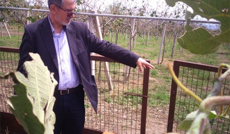 Ο Χρ. Γκόκας στις περιοχές που έπληξε το χαλάζι