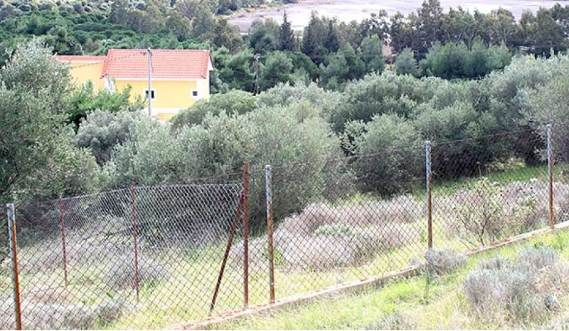 Τσουχτερά πρόστιμα για τα άκοπα  αγριόχορτα μέσα σε οικόπεδα!