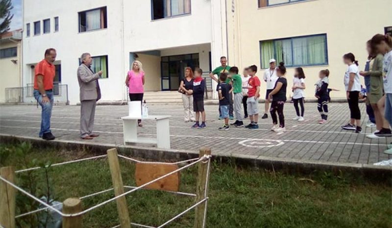 Φύτεψαν μία δάφνη στο  Δημοτικό Σχολείο Πεδινής