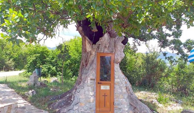 Αυξάνουν οι προσκυνητές στη δεντροκκλησιά του Αγ. Παϊσίου