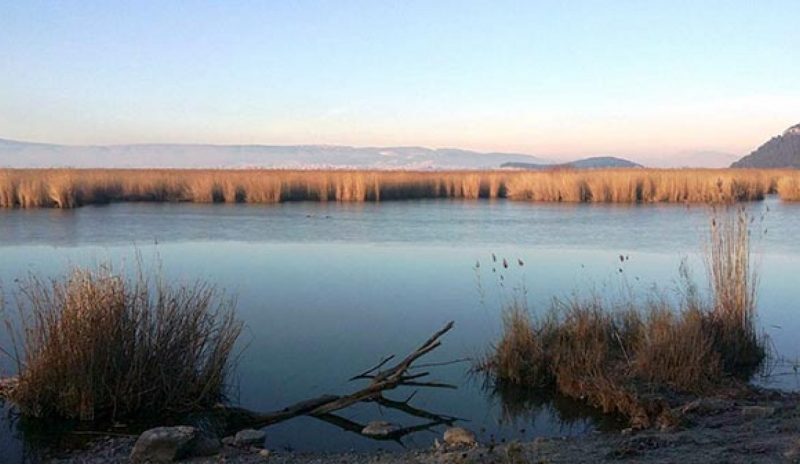 Κάπως αργά θυμήθηκαν οι του ΣΥΡΙΖΑ την Παμβώτιδα! 