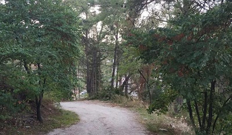 Απαγόρευση της κυκλοφορίας σε  Εθνικούς δρυμούς, δάση, δασύλλια