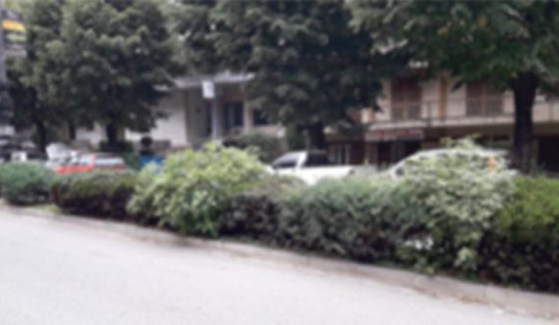 Ντροπή για τους Γιαννιώτες το κατάντημα της πόλης!..  