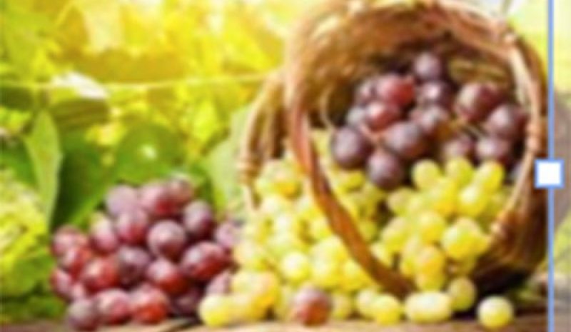 Αιτήσεις από σήμερα για ένταξη  στο μέτρο απόσταξης κρίσης
