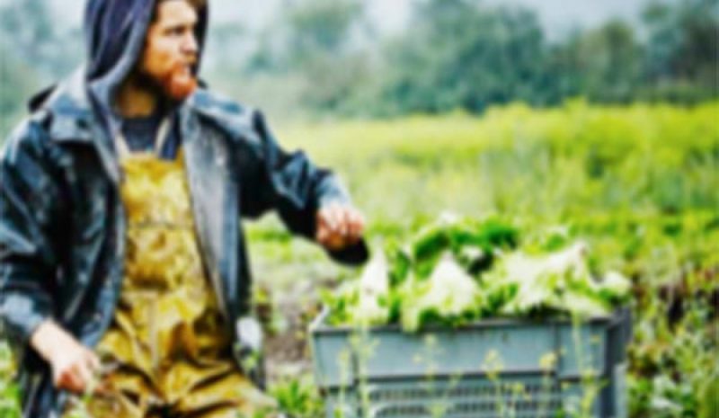 Εκπαιδευτικές συνεδρίες σε Συρράκο - Πράμαντα  για επιχειρηματίες του αγροδιατροφικού τομέα