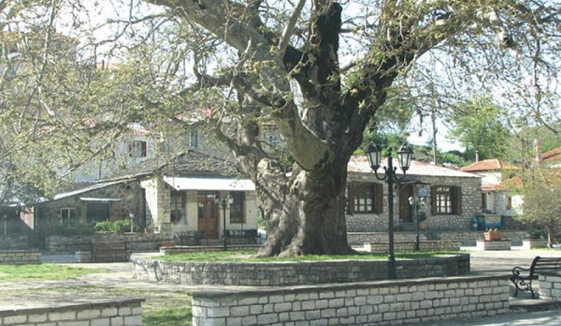 Έντονες οι αντιδράσεις για την κλοπή  στο Ζαγόρι από προσφυγόπουλο