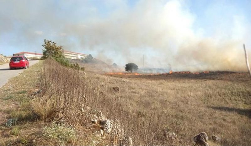 Φωτιά απείλησε χθες το απόγευμα  το Ίδρυμα «Νεομάρτυς Γεώργιος»