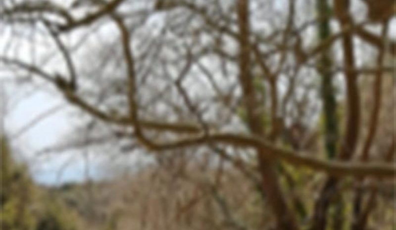 Περίπατος γνωριμίας με τον Ορειβατικό  Σύλλογο Ξηροβουνίου Αράχθου Άρτας