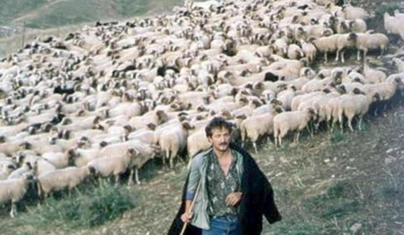 Άνοιξε χθες η πλατφόρμα για  ενίσχυση των αιγοπροβατοτρόφων 