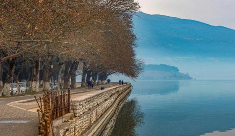 Τα πλατάνια ασθενούν κι η Παραλίμνιος κινδυνεύει με πλήρη… απογύμνωση!