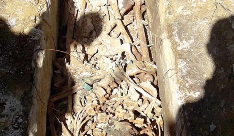 Και τρίτος προϊστορικός τάφος ανακαλύφθηκε στο Σκαμνέλι!