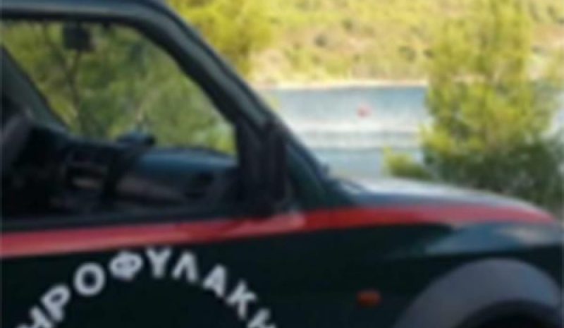 Τρεις κυνηγούσαν με προβολέα  σε δασική περιοχή του Κομποτίου