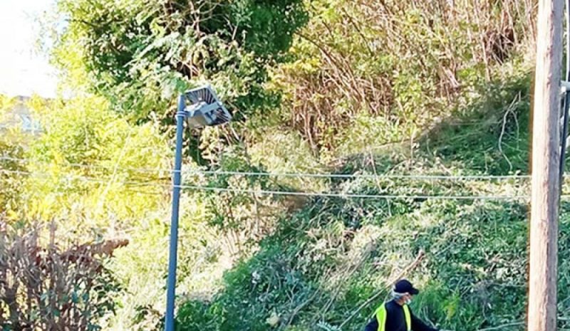 Εργασίες καθαρισμού  στο Πάρκο Λιθαρίτσια