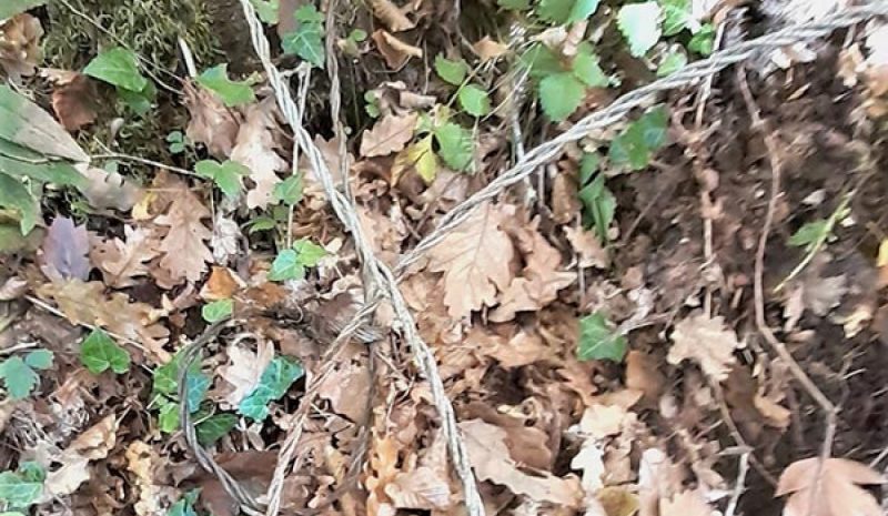 Παγίδες για θηράματα ακόμη και κάτω από γεφύρια του Ζαγορίου!
