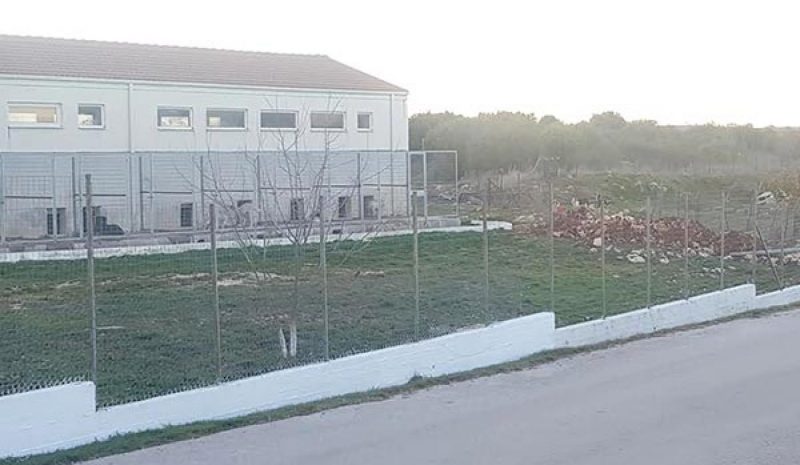 Βασική προϋπόθεση η αλλαγή νοοτροπίας για τα αδέσποτα!