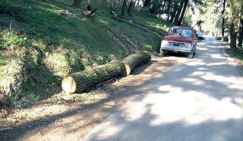 Έρχονται 700 προσλήψεις σε Δασικές Υπηρεσίες της χώρας