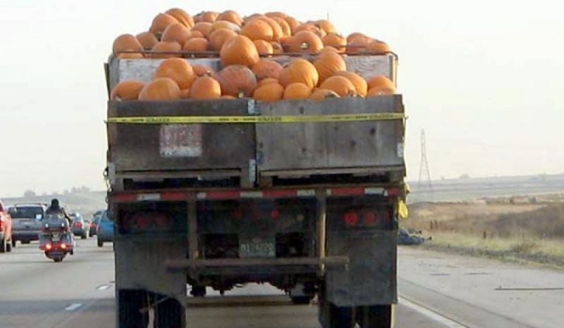 Κατά 5,9% αυξήθηκαν  οι εξαγωγές της Ηπείρου!