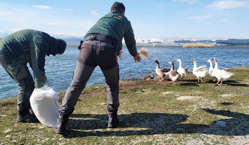  «Μοίρασε» βοήθεια  για την άγρια πανίδα