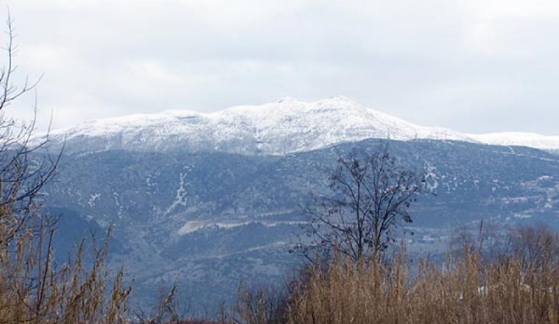 Να αναζητηθούν ευθύνες για το μοιραίο αεροσκάφος 