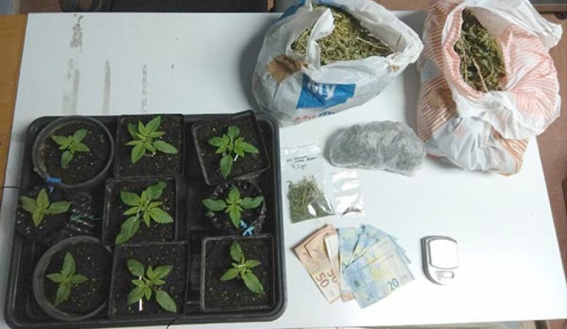Καλλιεργούσε χασίς και  το διοχέτευε σε Γιαννιώτες