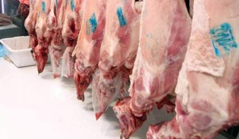 Ειδική ομάδα θα παρακολουθεί την πορεία των εισαγόμενων αμνοεριφίων!