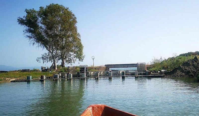 Δράσεις Καθαρισμού και Προστασίας  της Λιμνοθάλασσας Νεοχωρίου