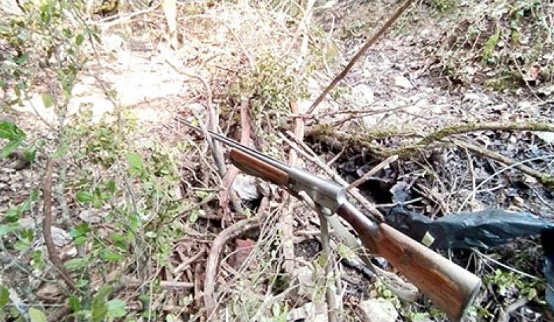Παγίδα για αγριόχοιρους στη Λάβδανη  με όπλο έτοιμο να εκπυρσοκροτήσει!