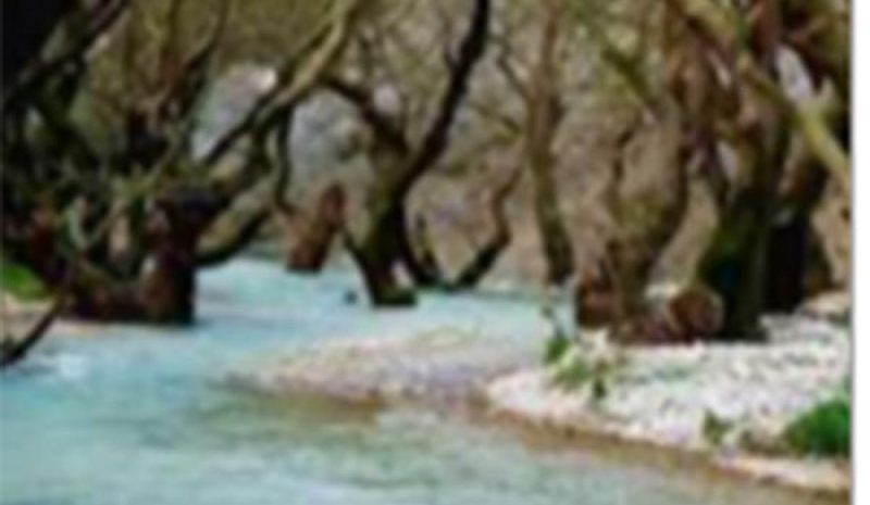 Απαγόρευση αλιείας σε  όλα τα ποτάμια της Ηπείρου 