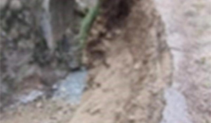 Την άμεση συντήρηση του Γεφυριού στη Σκάλα  Βραδέτου ζητά η παράταξη «Όραμα για το Ζαγόρι»