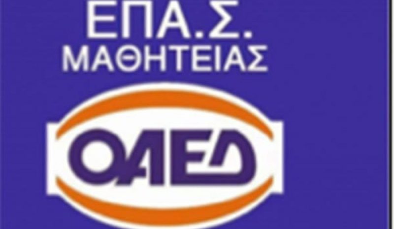 Τμήμα Μαγειρικής στις  ΕΠΑΣ ΟΑΕΔ της Άρτας