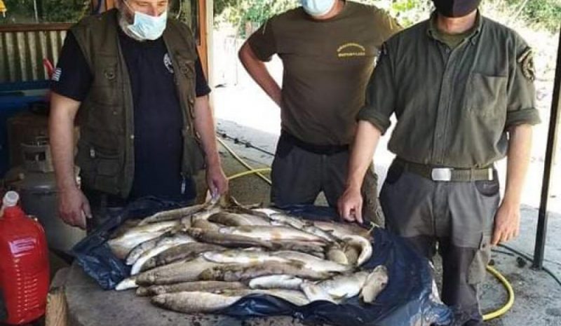 Λαθραλιείς πιάστηκαν με τα δίχτυα... στην πλάτη!