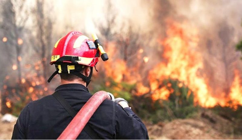 Καινοτόμα εργαλεία στην διάθεση υπηρεσιών για επιτήρηση δασών και πρόληψη πυρκαγιών 