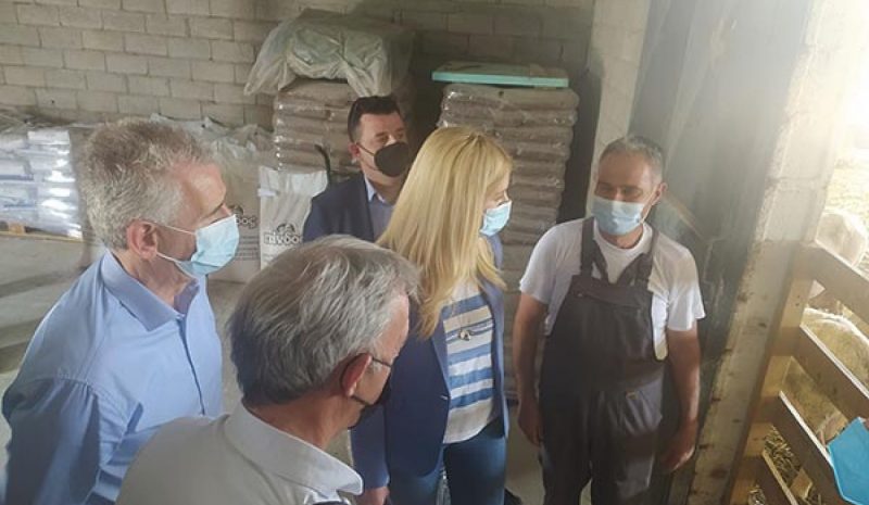 ΣΤ. ΚΑΛΟΓΙΑΝΝΗΣ: Το μεγάλο στοίχημα είναι η στροφή νέων ανθρώπων στον πρωτογενή τομέα