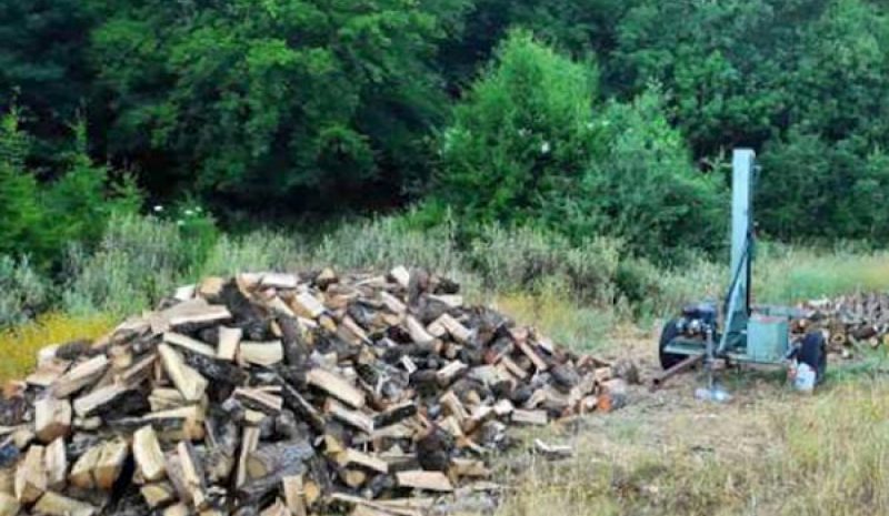 «Στοπ» σε νέα λαθροϋλοτομία στο Δημόσιο Δάσος Δελβινακίου