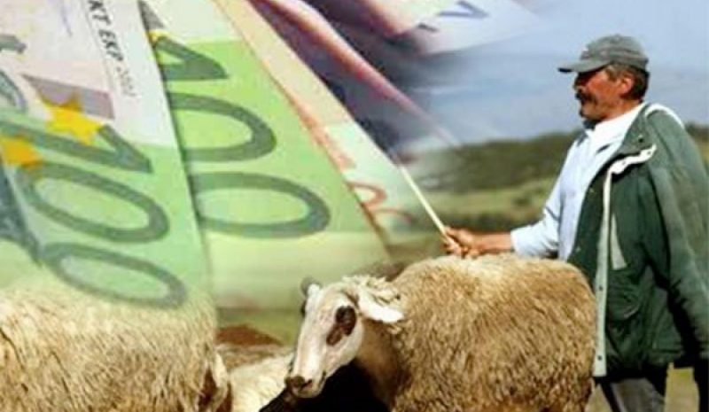 Μέτρα άμεσης προτεραιότητας για να σωθεί η κτηνοτροφία!