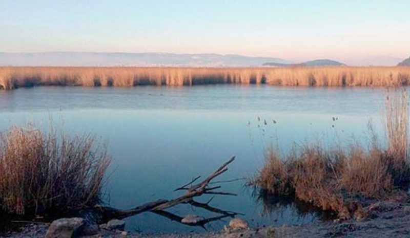 Η αποκατάσταση της Παμβώτιδας δεν μπορεί να καθυστερήσει άλλο!