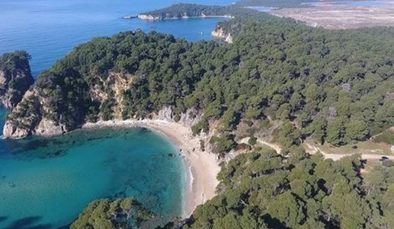 Η Πολιτεία να προστατέψει το δάσος Βαλανιδόραχης