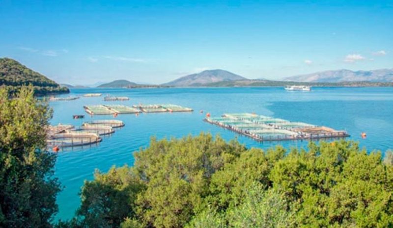 Αιτήσεις από την Παρασκευή για την  ενίσχυση μονάδων υδατοκαλλιέργειας