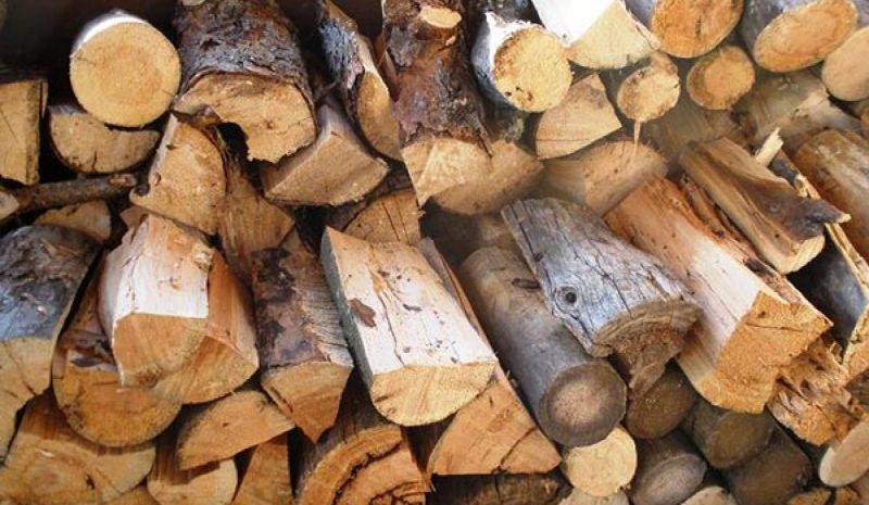 Δασικοί ζητούν παρέμβαση Αμυρά  για να προμηθευτούν... καυσόξυλα!
