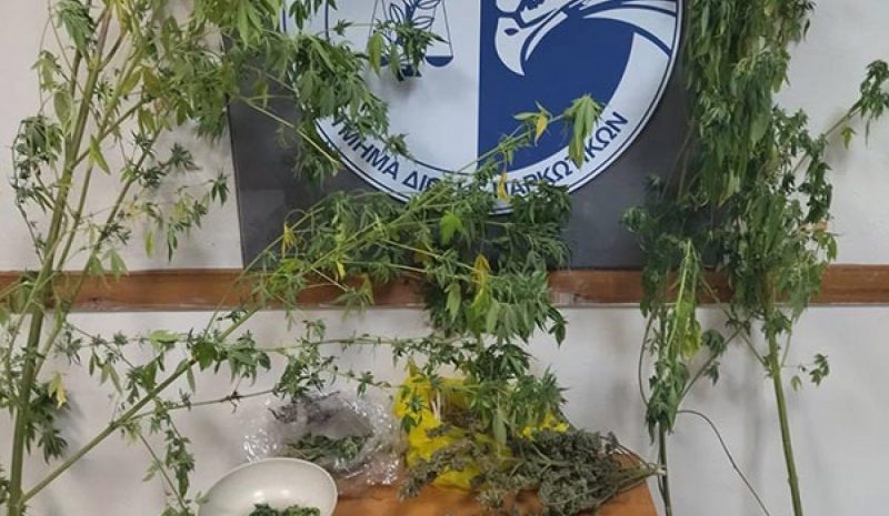 Βρήκαν σπίτι του δενδρύλλια και συσκευασίες κάνναβης