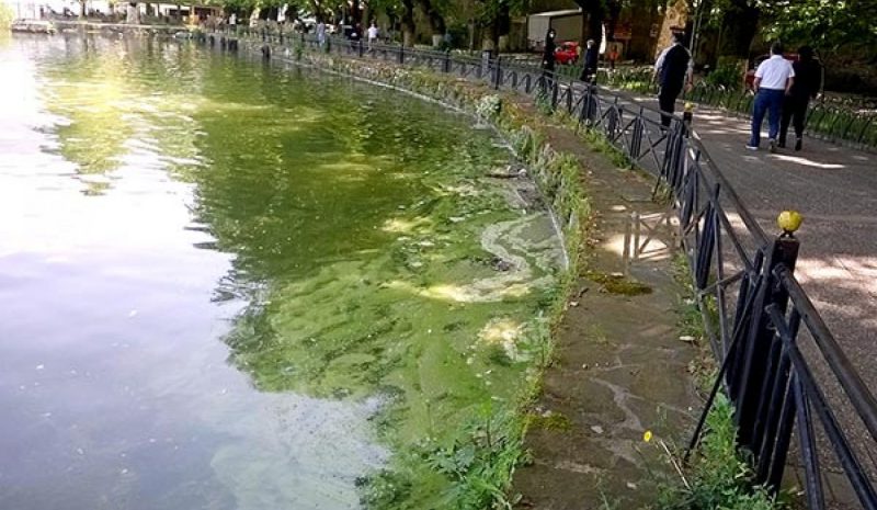 Μικτά κλιμάκια στη Λίμνη  για αποτροπή ρυπάνσεων 