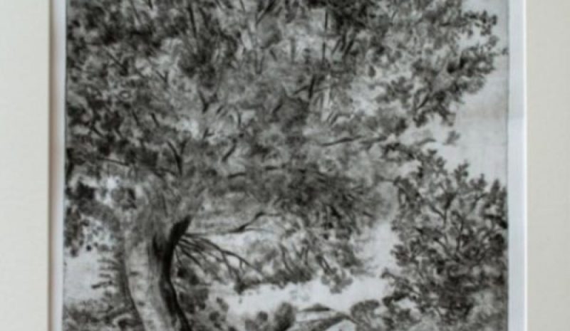 «Αφήνω το φυσικό τοπίο να μου μιλάει στο συναίσθημα…»