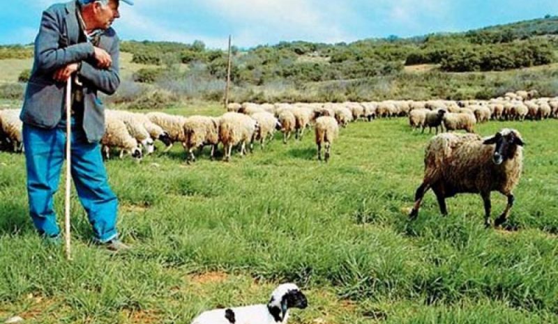 Η μετακινούμενη κτηνοτροφία βοηθάει την βιοποικιλότητα