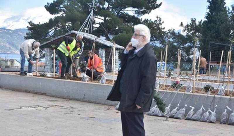 Κυκλάμινα και... τριανταφυλλιές  στα σιντριβάνια της Πλατείας