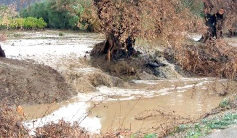  Στα όριά τους ποταμοί, χείμαρροι και αποστραγγιστικοί τάφροι