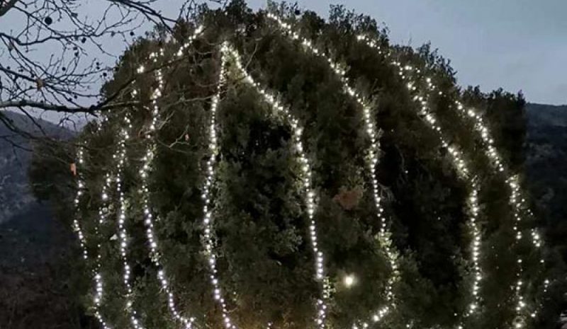 Αύριο θα ανάψει  δέντρο στη Σκλίβανη